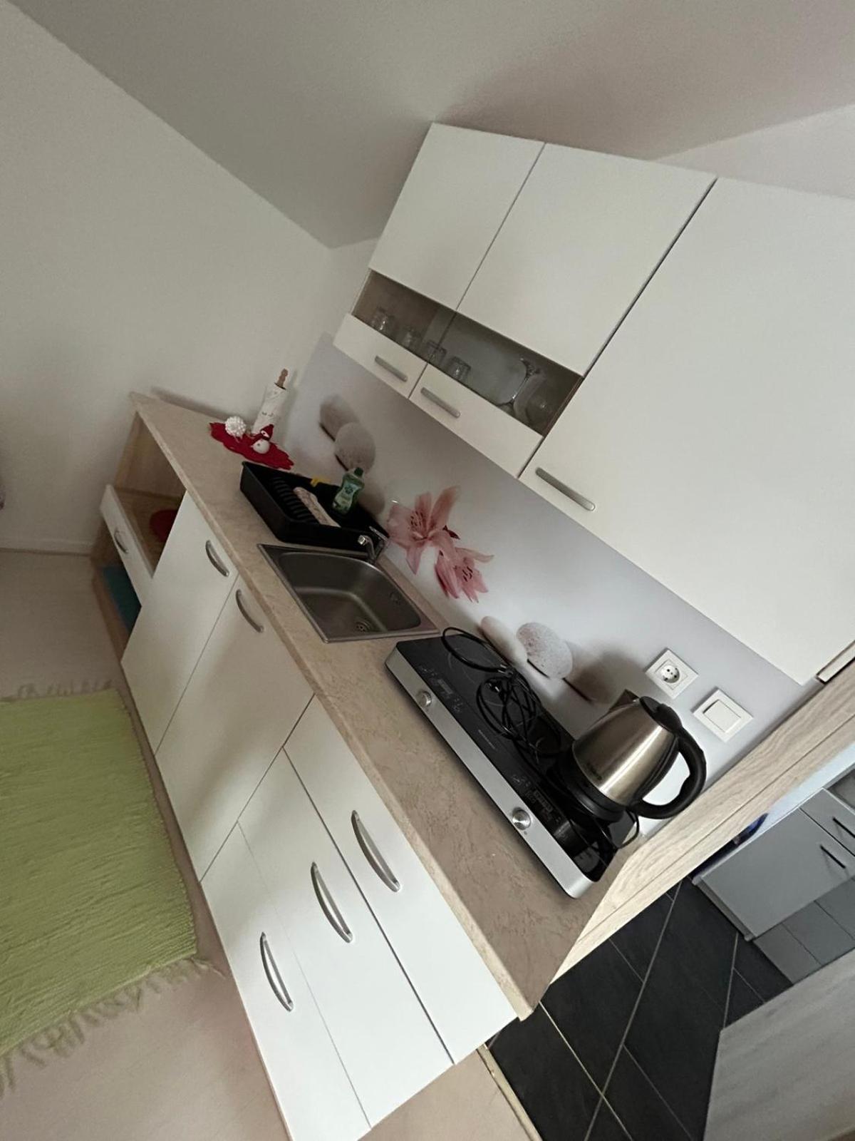 Apartments And Wellness Scavnicar Лютомер Екстер'єр фото